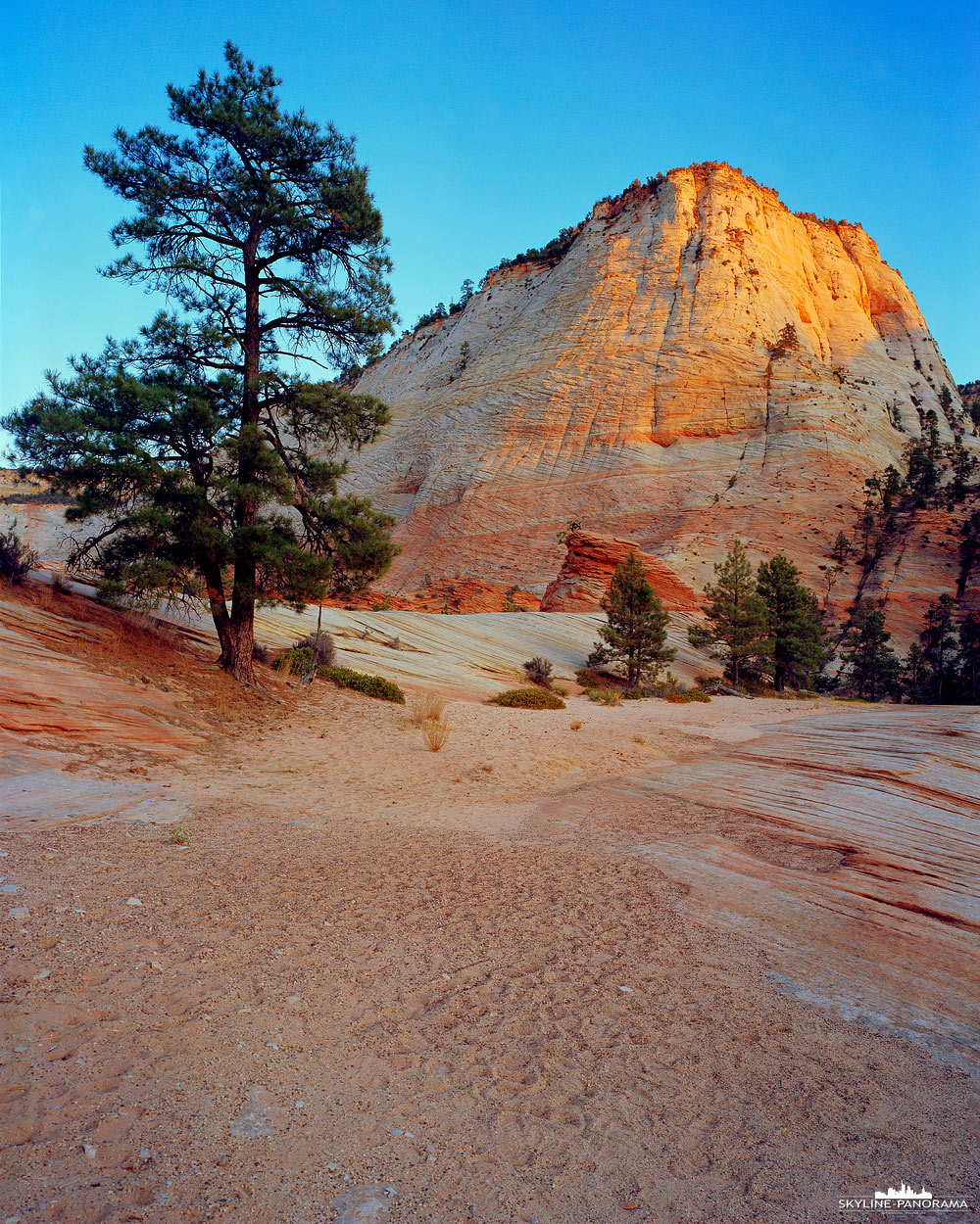 Zion Sunset Rock - Checkerboard Mesa (gf_0028)