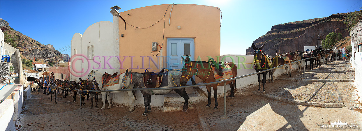 Esel Santorini – Hafen Fira (p_00367)