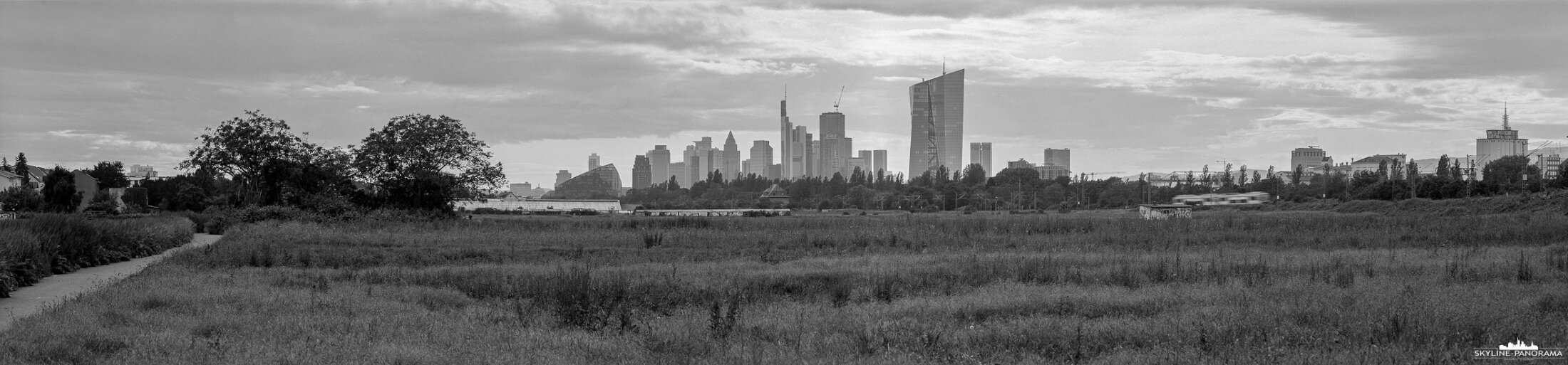 6x24 Panorama von Frankfurt am Main (p_01270)