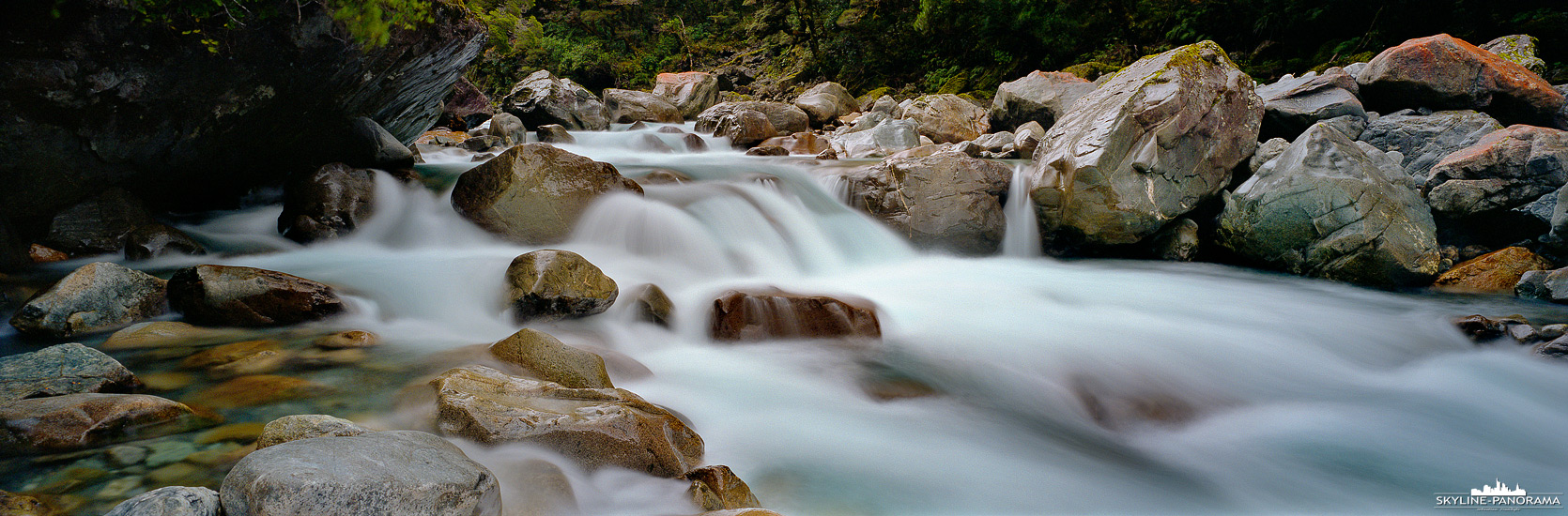 Fiordland Neuseeland - Hollyford River (p_01274)