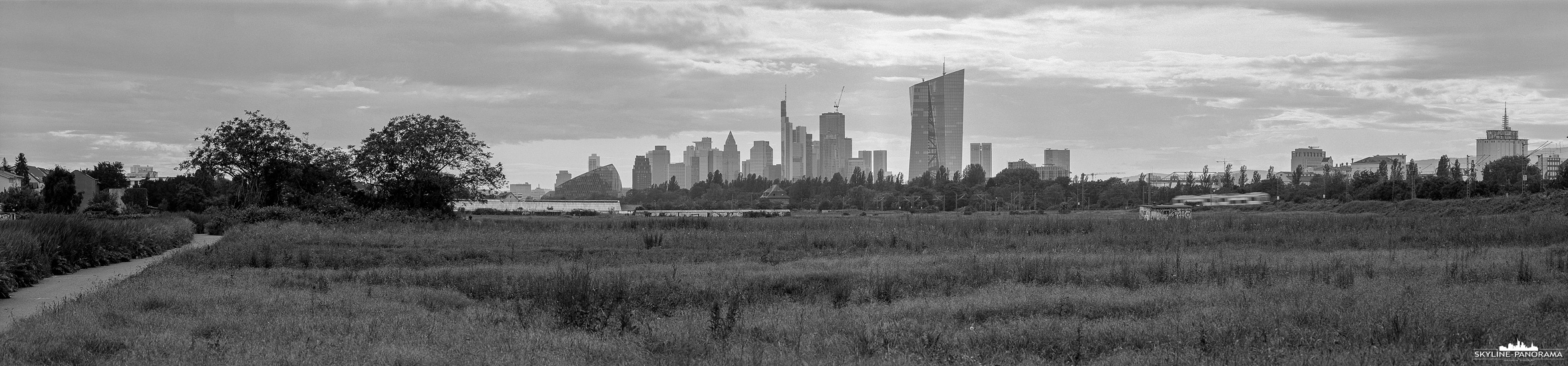 6x24 Panorama - Blick auf die Frankfurter Skyline vom Ende der Oberräder Felder. Die Aufnahme entstand analog auf Schwarzweiß-Film im Panoramaformat 6x24, erstellt wurde das Panorama mit einer Shen Hao TFC 624 Panoramakamera und einem 300mm Fachobjektiv von Rodenstock. 