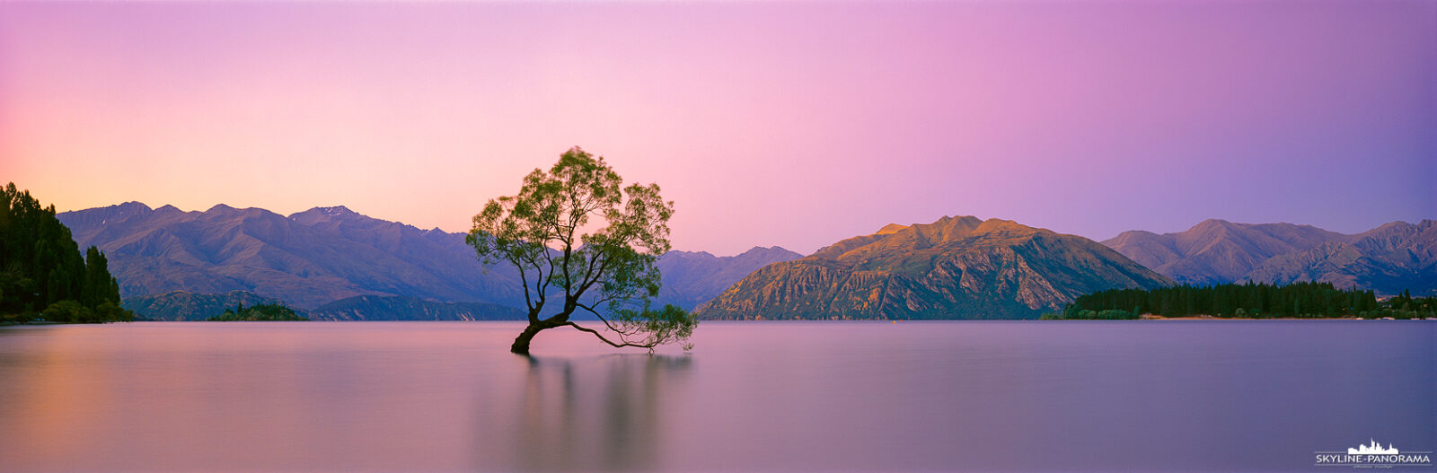 Lake Wanaka Neuseeland - Der ikonische, einsame Baum im Lake Wanaka ist weit über die Landesgrenzen von Neuseeland bekannt. Dieses Panorama zeigt "That Wānaka Tree" noch in seiner ursprünglichen Schönheit, bevor er leider, einige Zeit später, einen seiner malerischen Äste verlor.